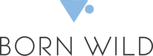 Born Wild Tea Wholesale